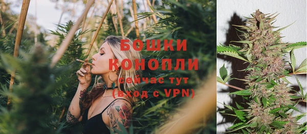 МДПВ Иннополис